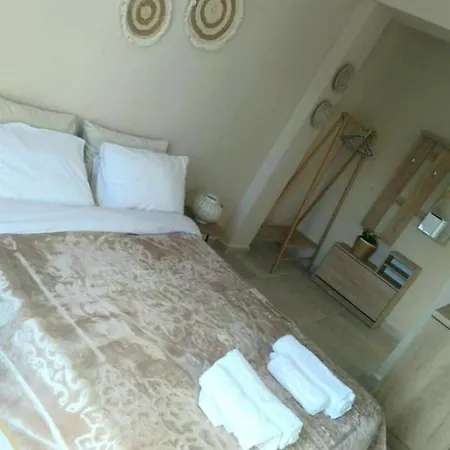 Iokasti Apartament Ándros